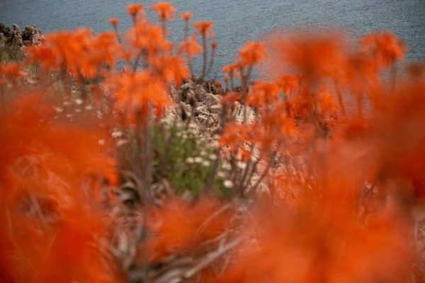 photographie de paysage lanzarote - hookvideo
